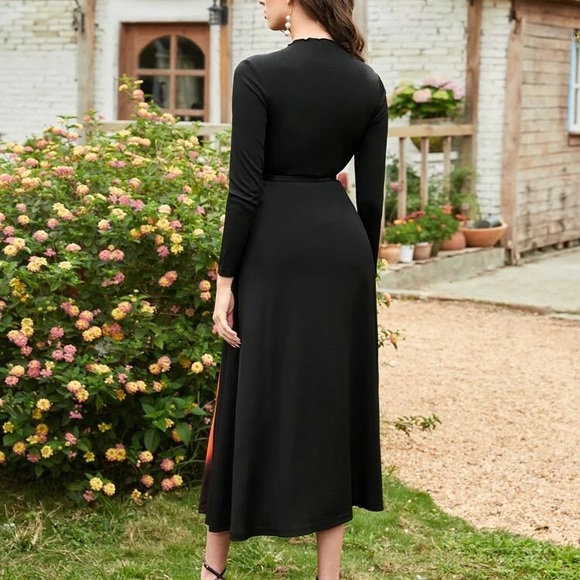 Colorblock Belted Dress - Picture 3 of 10